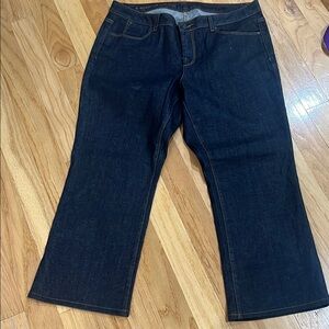 Talbots Indigo Flare Jeans